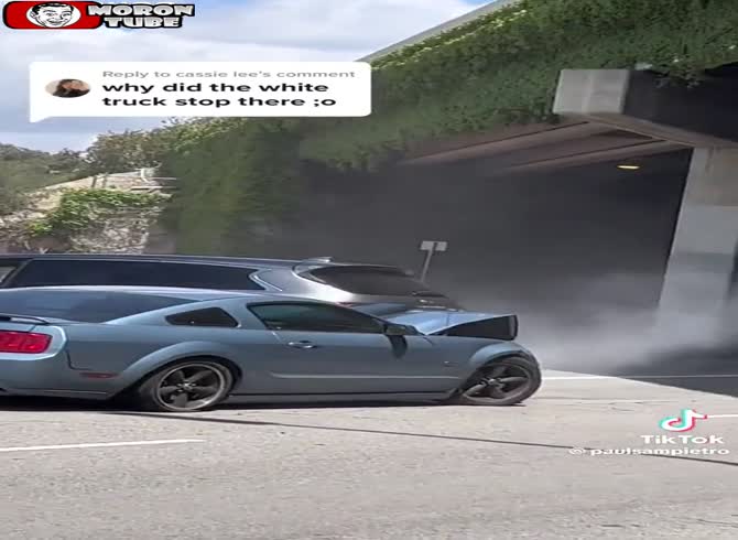 Video :Los Angeles is rocked by an unruly motorist in The Mad Mustang